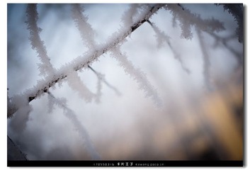 DZ-1219012.jpg