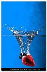 JQS_2676-2