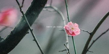 1520450