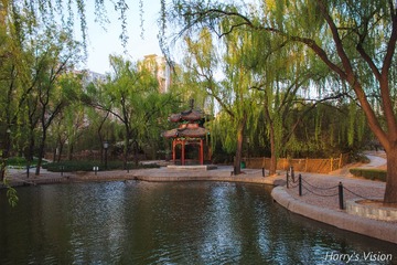 IMG_0507-1