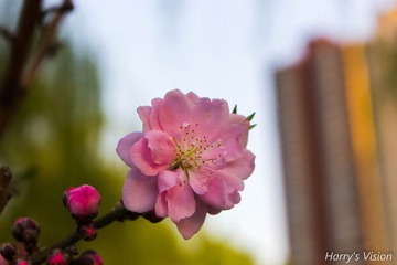 IMG_0504-1