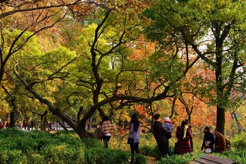天平山 025_