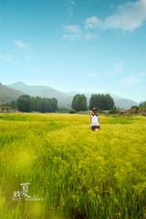 酷夏38℃