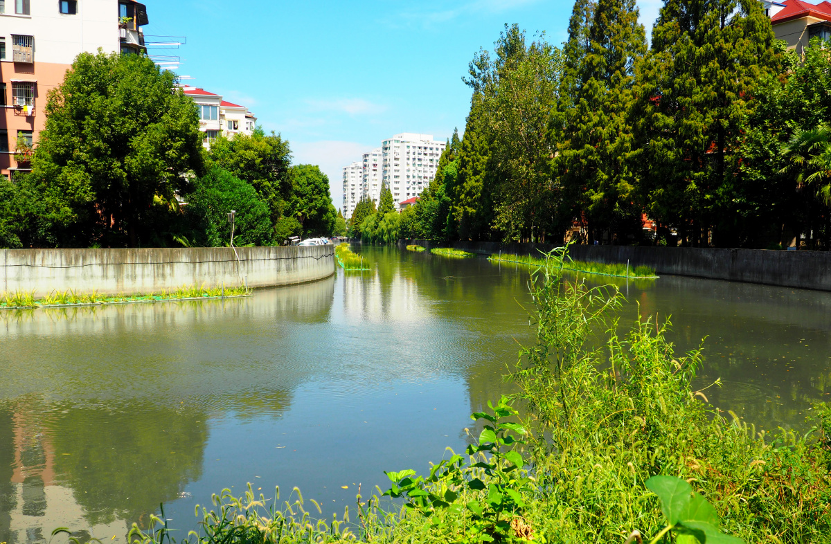 西虬江--桃浦交汇处