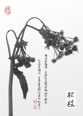 枯枝