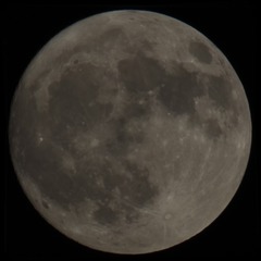 1450959