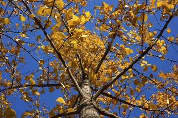 _DSC4865-1 (2000x1333)