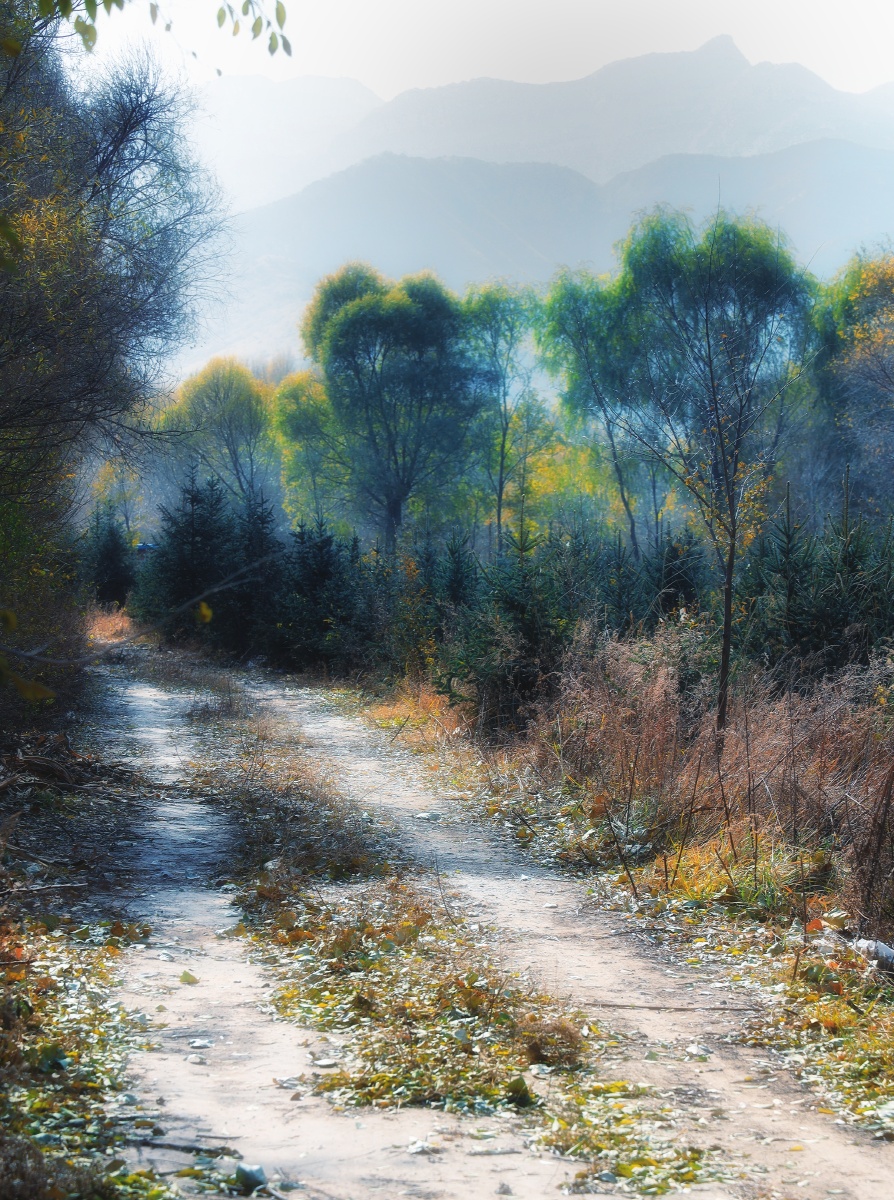 秋天的山路