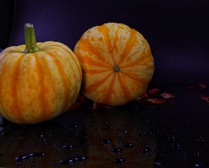 681647