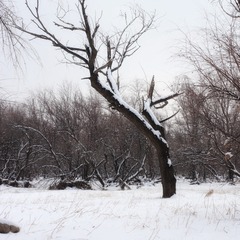 120303