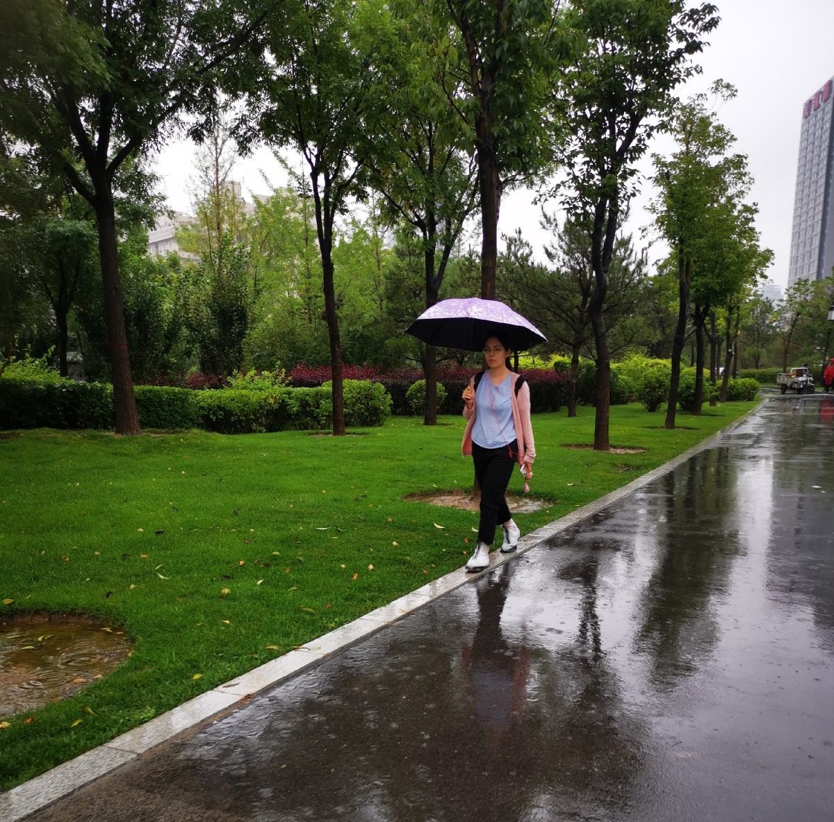 雨中散步