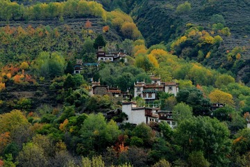 _MG_0050x.JPG