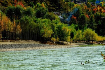 _MG_0126x.JPG