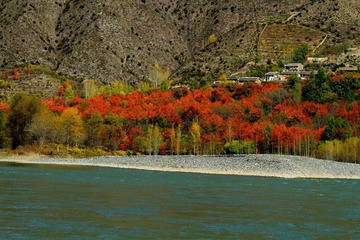 _MG_0131x.JPG