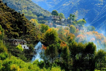 _MG_0137x.JPG