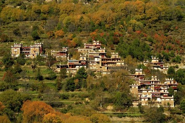 _MG_0156x.JPG