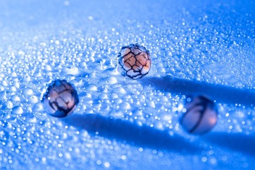 _DSC0024