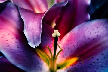 _DSC0055