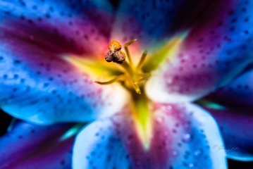 _DSC0064