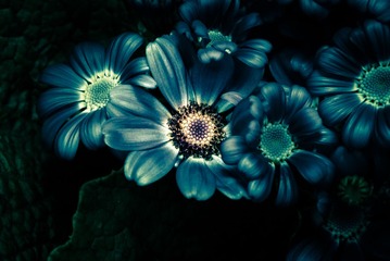 _DSC0144