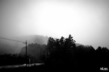 DSC_1613-4