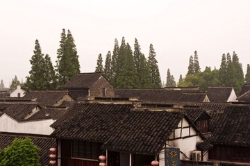 _IGP2896