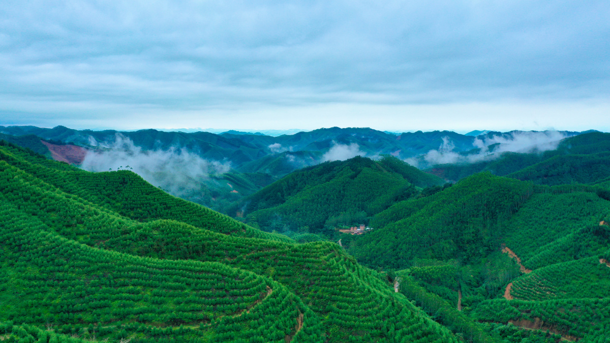 十万大山里的人家