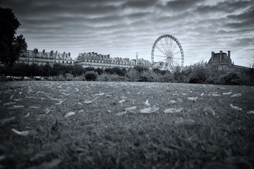 公园 @Paris 2010