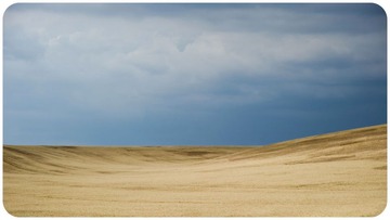 麦田@ Provence 2010