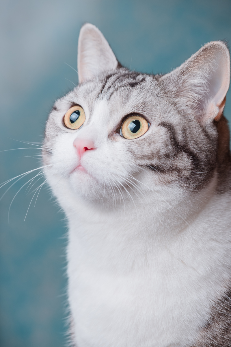 看灯,拍一张 - 摄影师谢俊杰