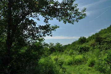 燕京游记（一）4