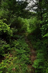 燕京游记（一）9