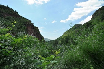 燕京游记（一）10