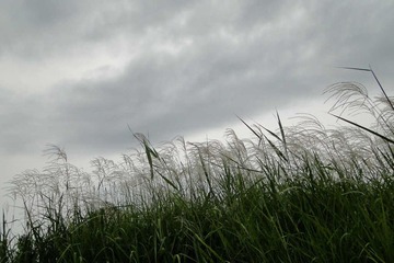 漫步奥林匹克森林公园（6）