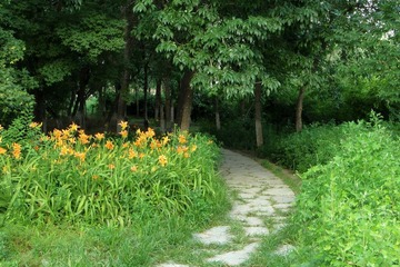 漫步奥林匹克森林公园（5）