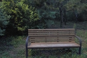 漫步奥林匹克森林公园（9）