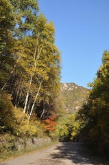 京郊秋色（15）