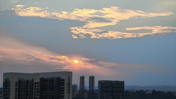 1000016082