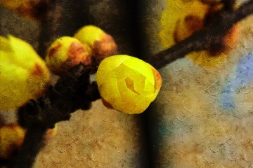 R0010219_
