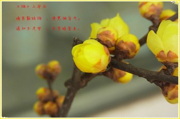 R0010220_