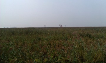 IMAG0590