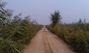 IMAG0595