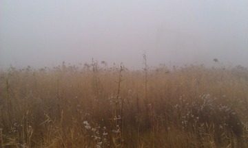 IMAG0838