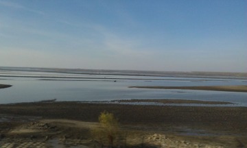 IMAG0871