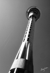 web-IMG_2009