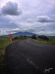 web-IMG_2383
