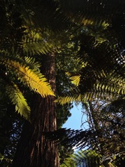 web-IMG_3021