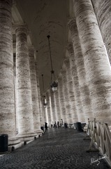 web-Vantican.Piazza S.Pietro.016