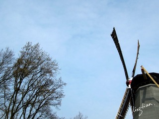 web-Windmill_001