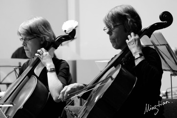 web-Cello.005